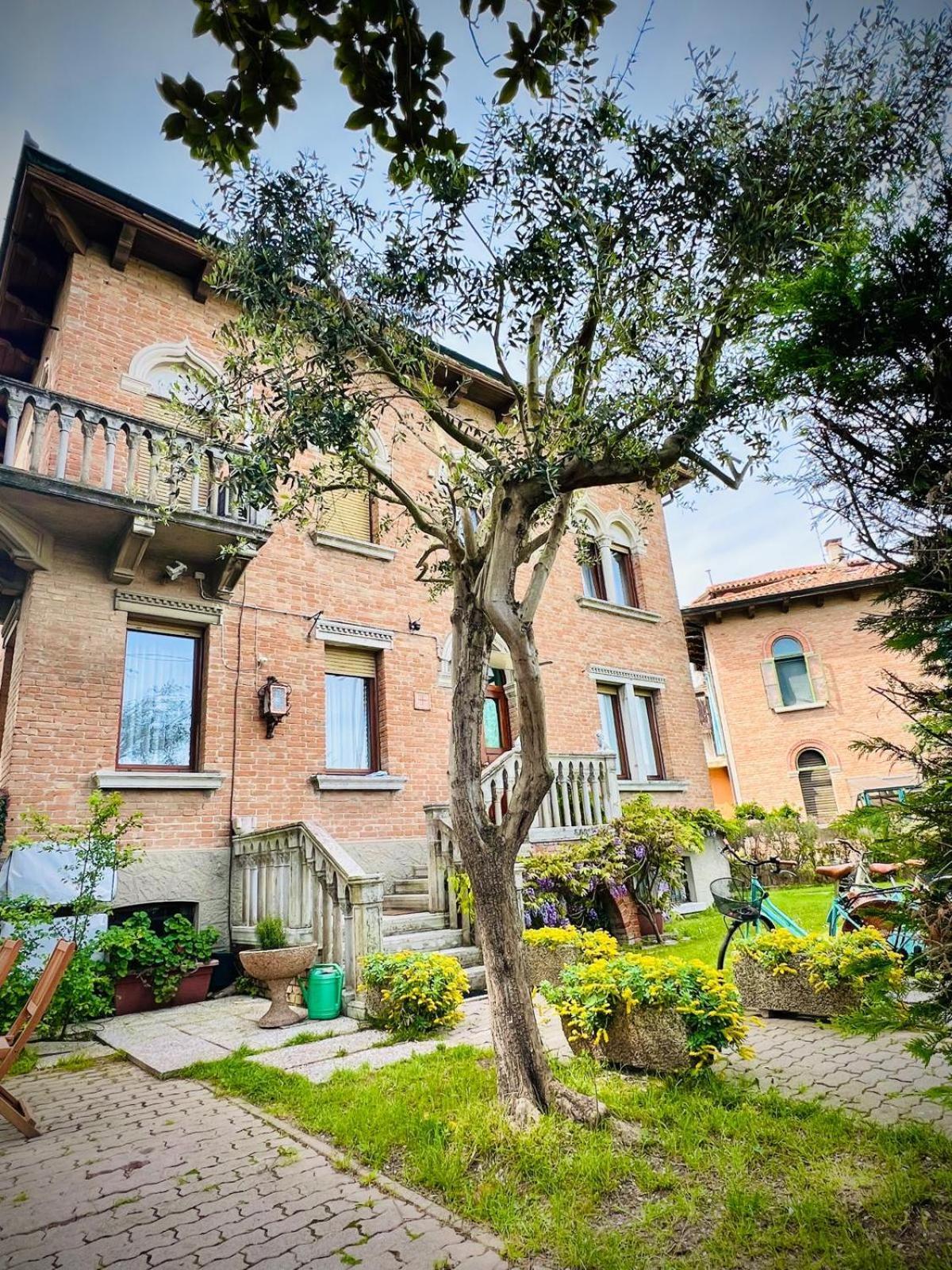 Zona Mostra Del Cinema Lido di Venezia
